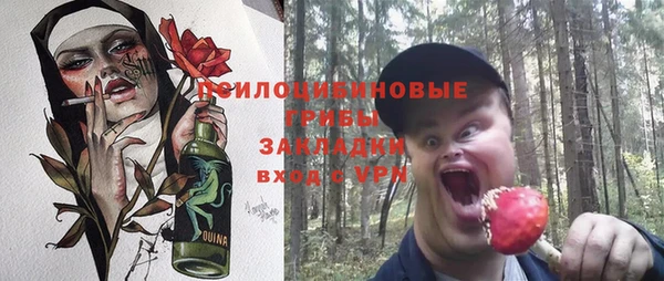 молекула духа Сосновоборск