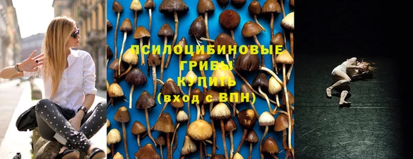 каннабис Горно-Алтайск