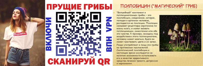 Галлюциногенные грибы Psilocybe  даркнет сайт  Изобильный 